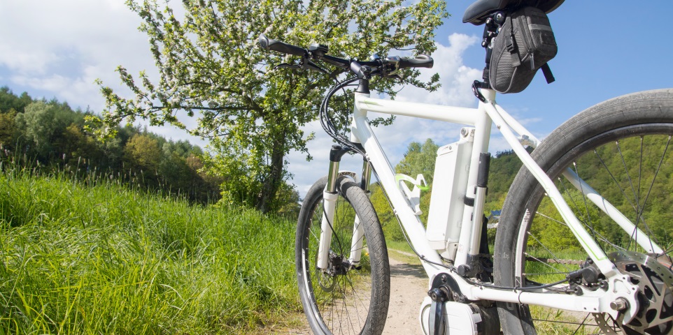 Fahrrad-Pedelec-Fruehling-Wiese960x480