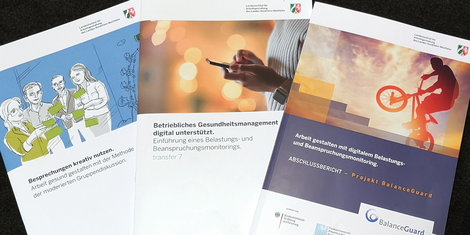 Publikatione: LIA transfer 7, LIA praxis 3, Abschlussbericht Balance Guard