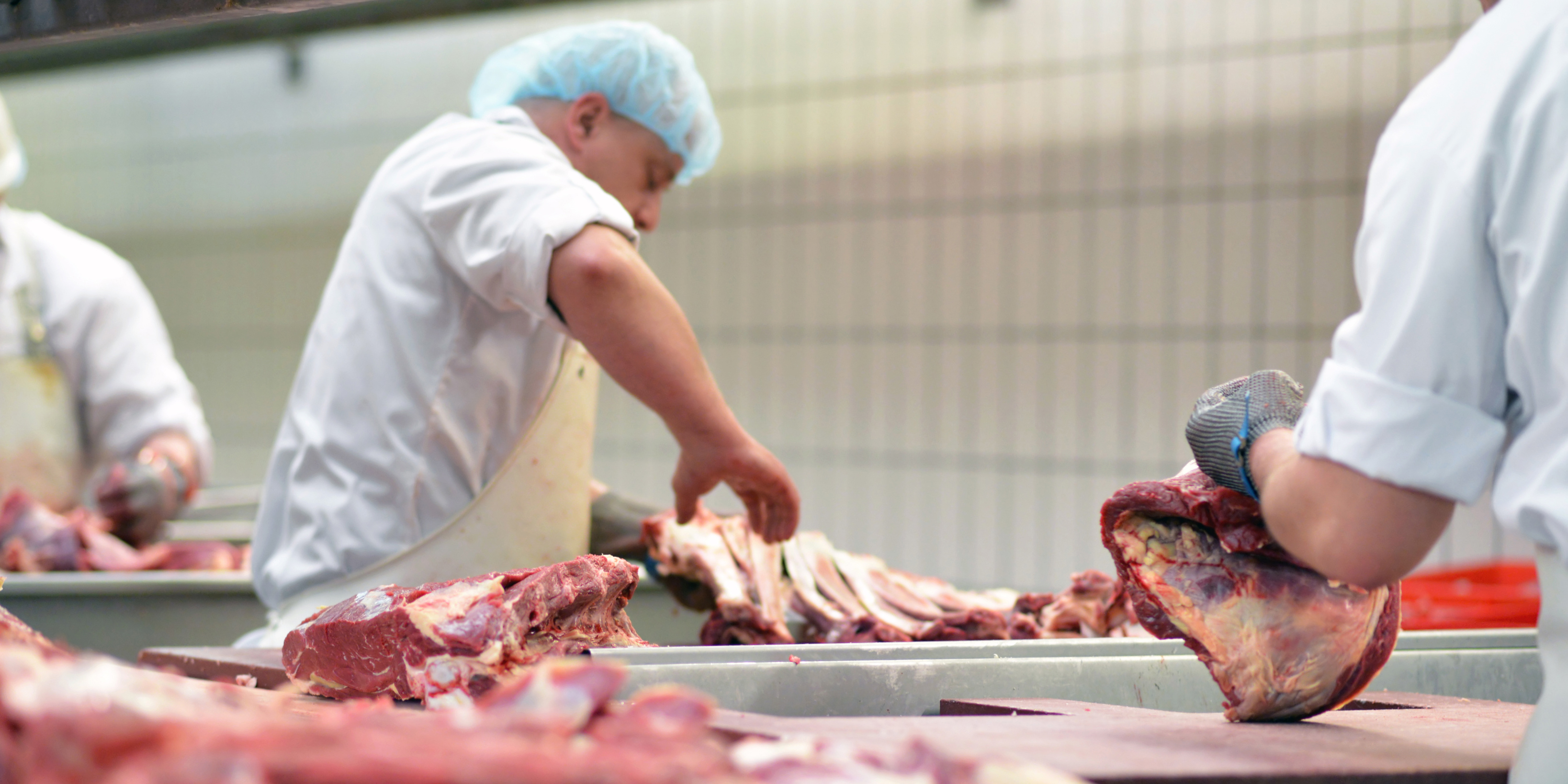 Symbolbild Fleischindustrie: Ein Arbeiter in grünem Kittel und mit Haarnetz zerlegt ein Stück Fleisch.