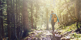 Frau wandert im Wald