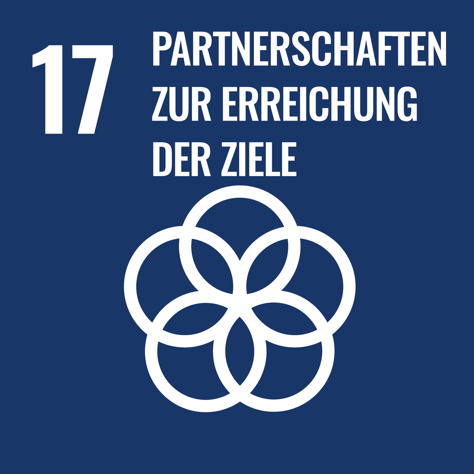 SDG_icons_DE-17_Partnerschaften und Erreichung der Ziele